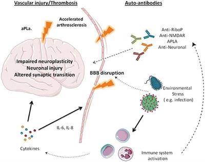 Case Report: Psychopathological Syndromes in the Course of Lupus Erythematosus and the Co-occurrence of Lupus Erythematous With Mental Disorders